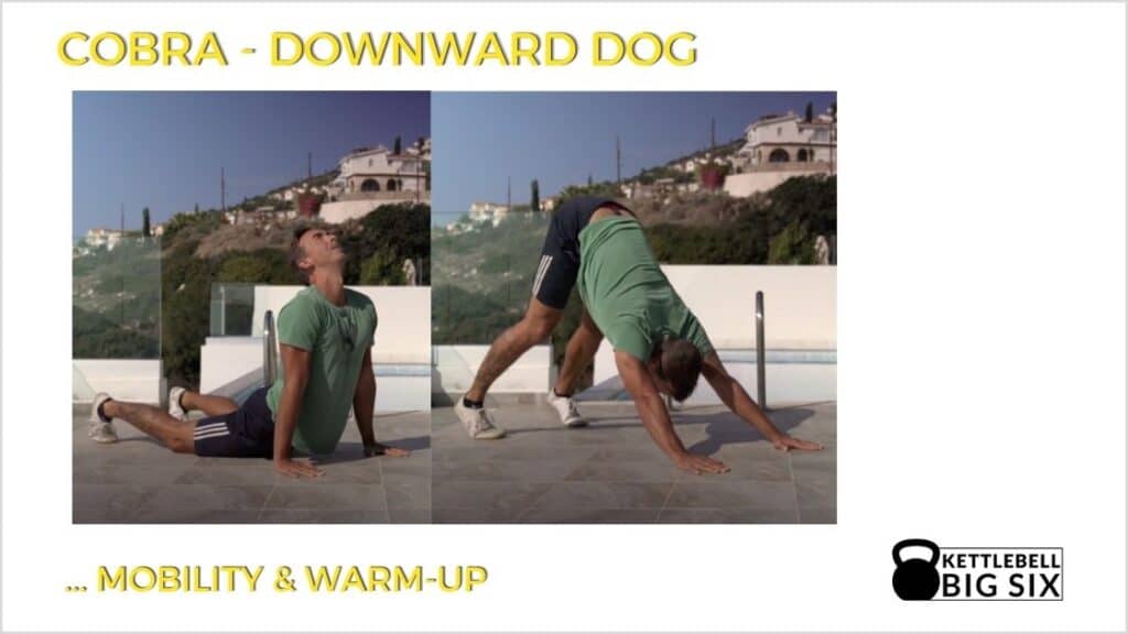Cobra into Downward Dog