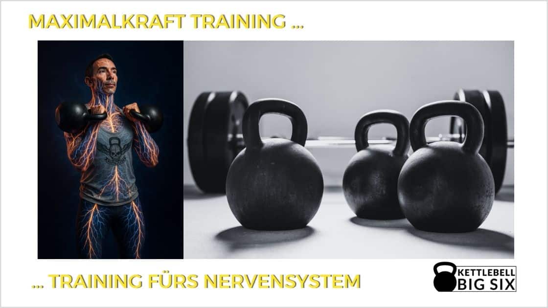 Maximalkraft Training = Training fürs Nervensystem